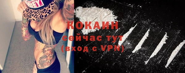прущие крисы Кодинск