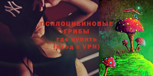 прущие крисы Кодинск