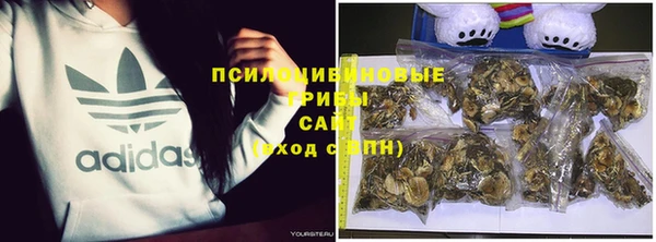 apvp Козловка
