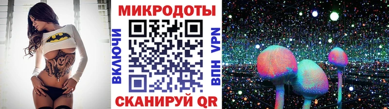Псилоцибиновые грибы мицелий  Купить закладки  Аткарск 